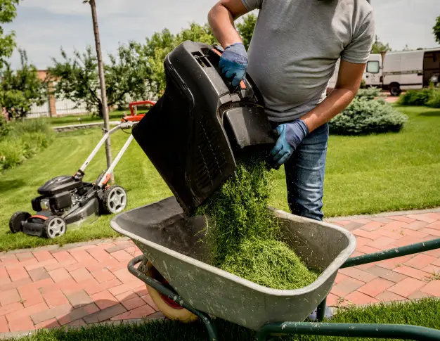 How to start a grass cutting business in South Africa